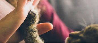 lead-management-slider