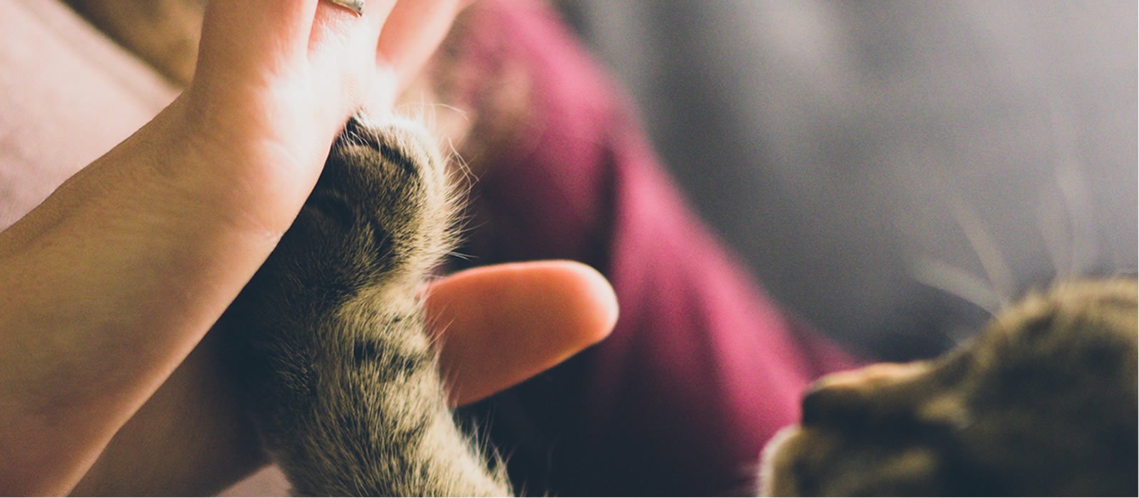 B2B-leads-management B2B-leads-management