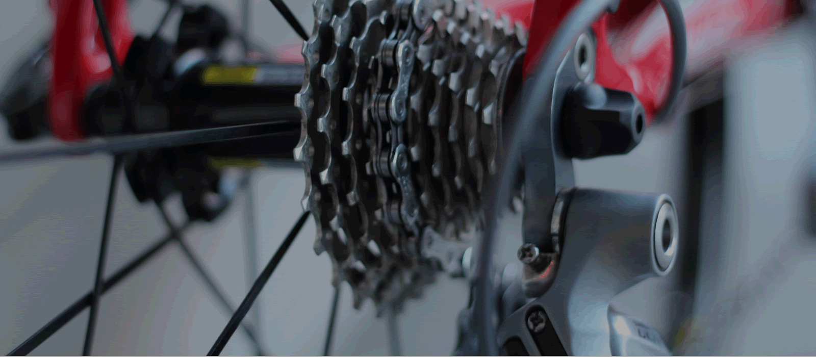 maplesage team maplesage team