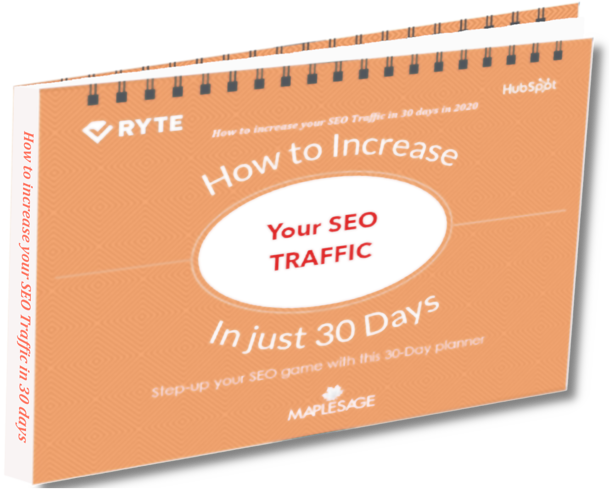 seo 30 days cover image-cover